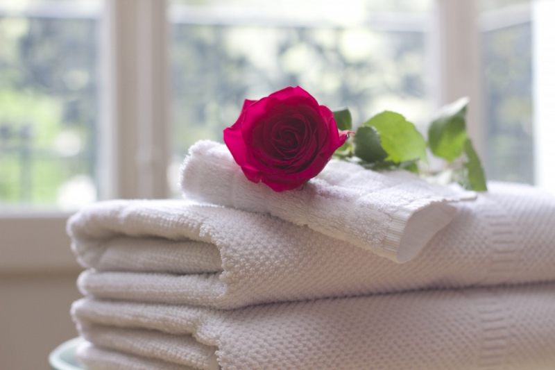 hotel-LES FERRES-min_towel_rose_clean_care_salon_spa_white_bath-731641